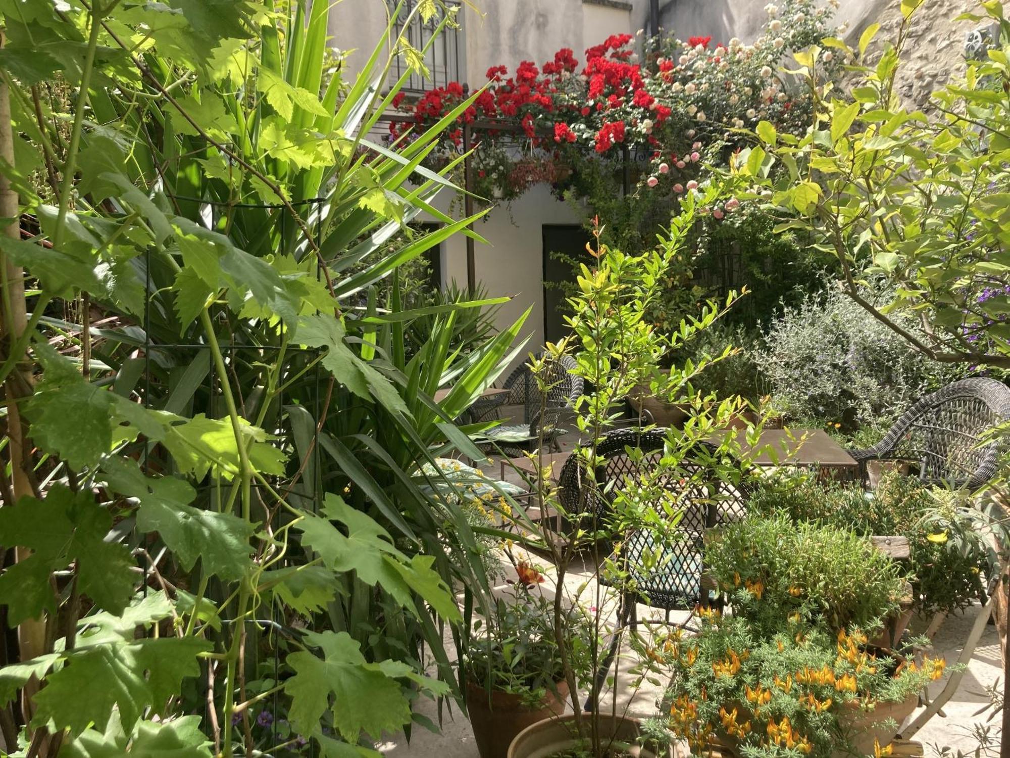 أفينيون La Maison Des Augustins 4 Stars Spa Et Fitness الغرفة الصورة