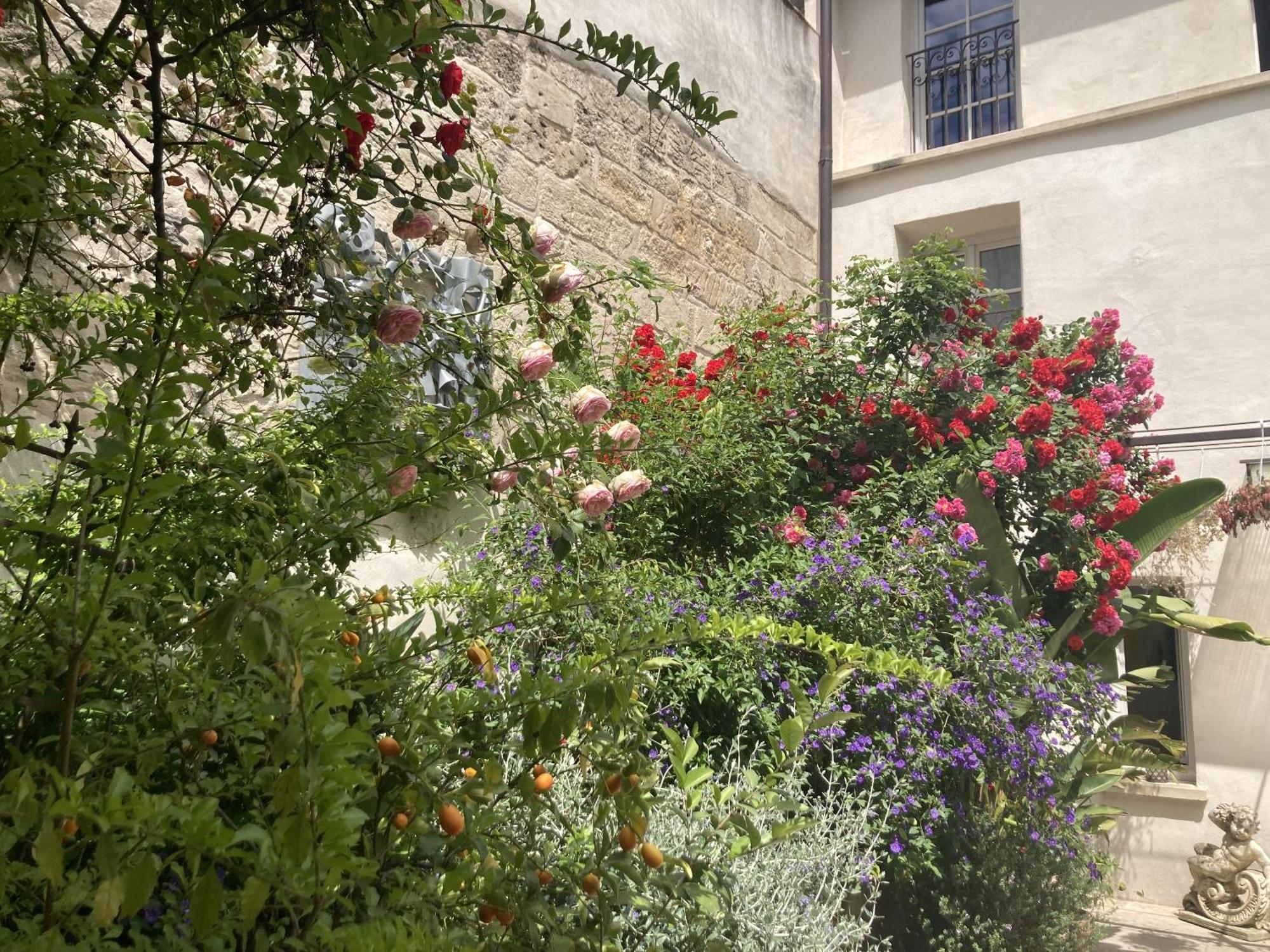 أفينيون La Maison Des Augustins 4 Stars Spa Et Fitness الغرفة الصورة