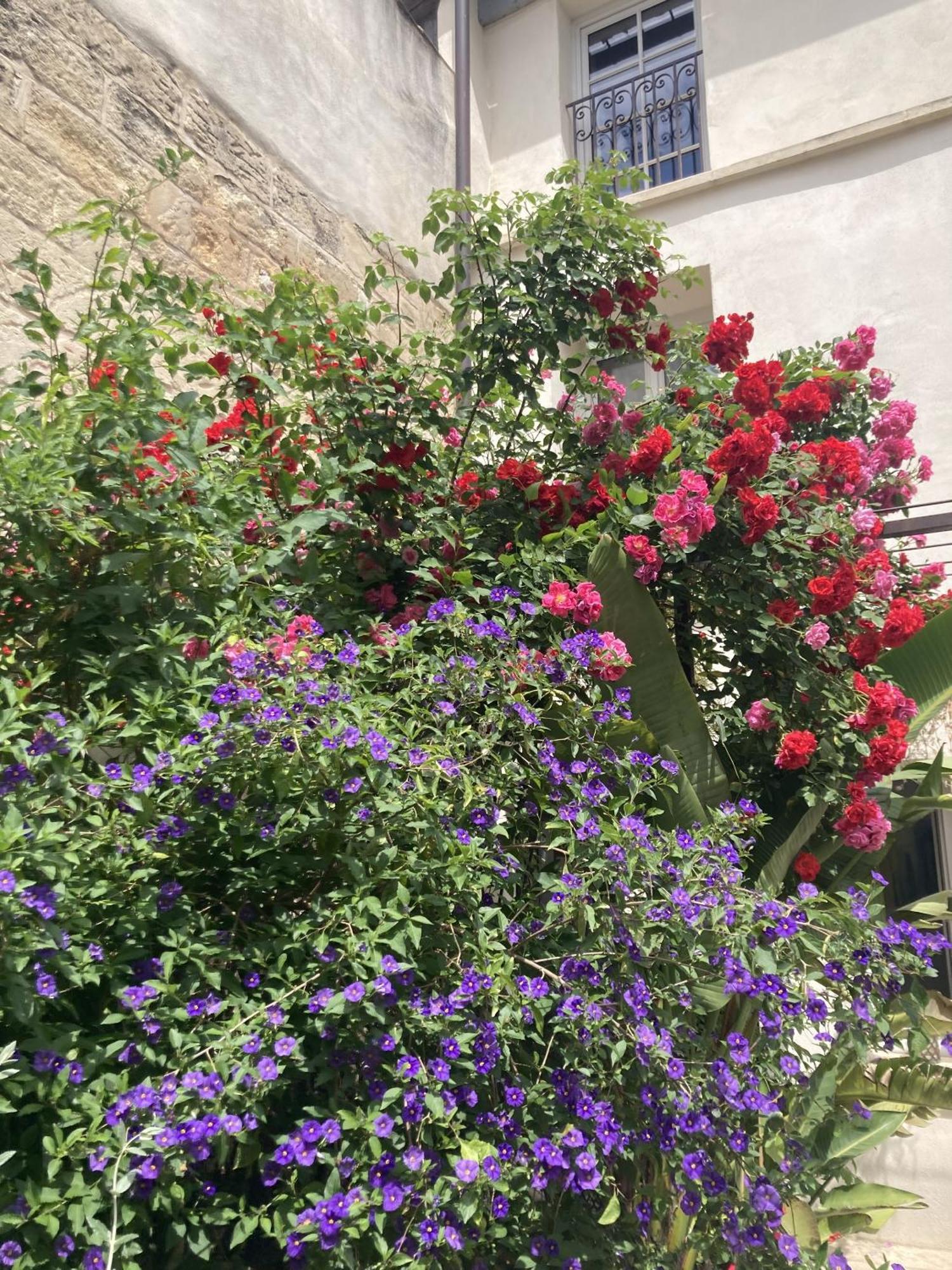 أفينيون La Maison Des Augustins 4 Stars Spa Et Fitness الغرفة الصورة