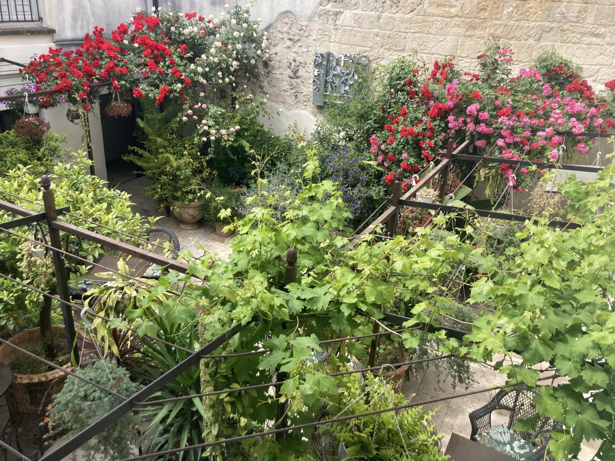 أفينيون La Maison Des Augustins 4 Stars Spa Et Fitness الغرفة الصورة